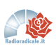 Radio Radicale lancia un Concorso per Aspiranti Giornalisti