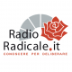 Radio Radicale ha un nuovo Direttore: Alessio Falconio