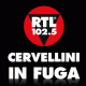 RTL 102.5: Storie di Italiani all’estero a "Cervellini in Fuga"