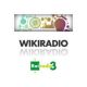 “Wikiradio”: il programma di Radio3 raccontato da Marco Gisotti