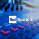 Rai Radio Uno: l’anno nuovo porta novità nel palinsesto