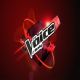 Rai Radio2: The Voice 2019 con Andrea Delogu e Stefano De Martino