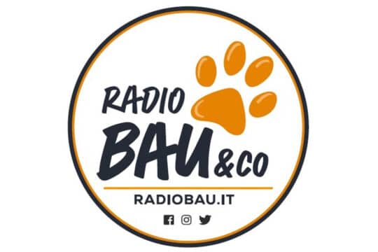 Radio Bau &Co: il nuovo sito della radio digital Mediaset