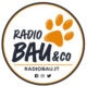 Radio Bau &Co: il nuovo sito della radio digital Mediaset