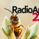 Nasce Radio Api24: la salvaguardia delle api raccontata al microfono