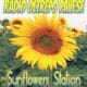 logo-Radio-Oltrepo-Pavese-Sunflowers-Station.jpg