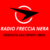 Radio freccia nera