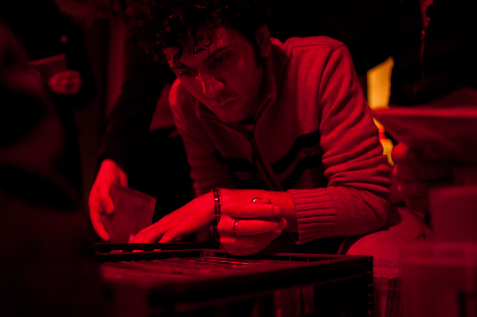 Domenico Garofalo