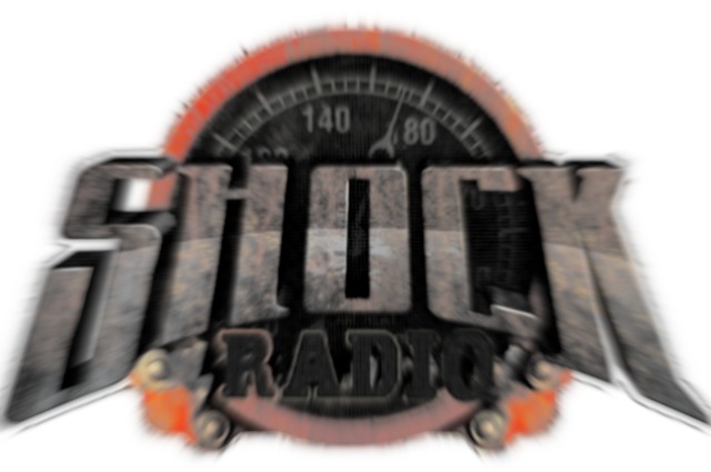 Radio Shock 2013