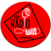 Radio Wifi